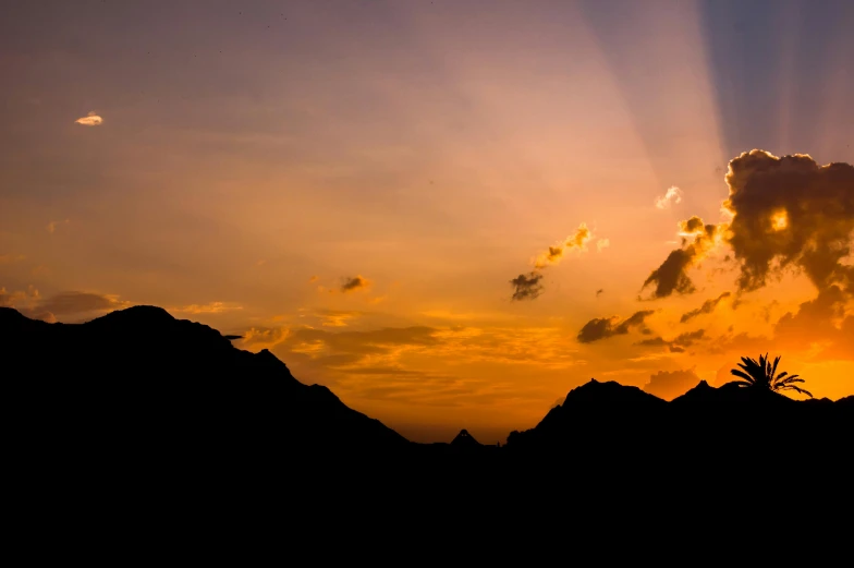 a silhouette of mountains and a single tree