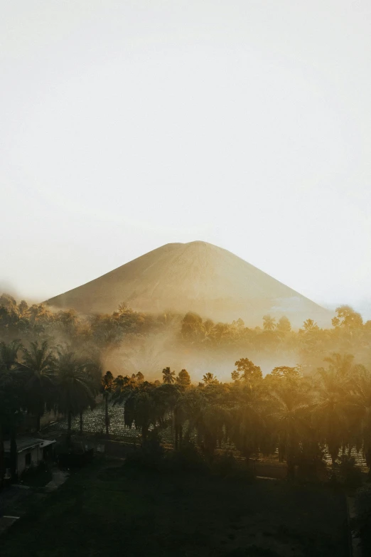 view of a large mountain covered with trees