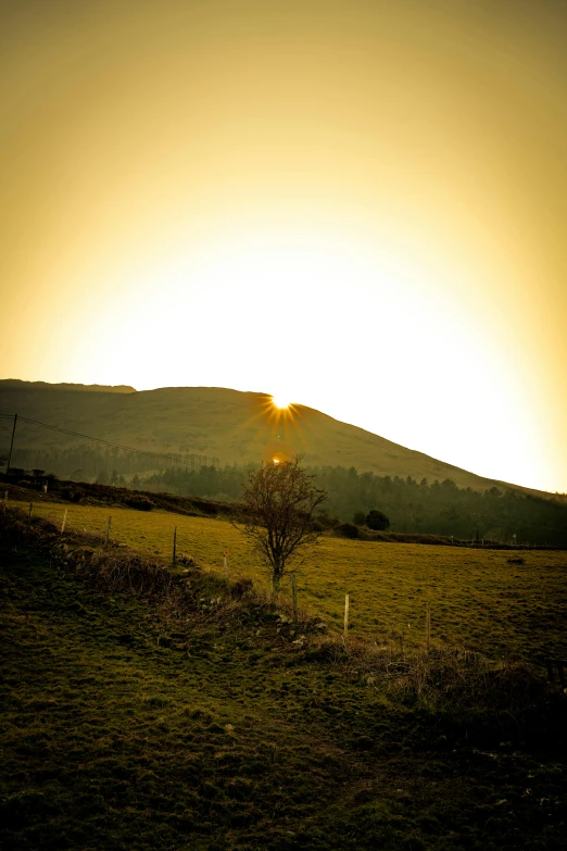 a mountain with a sun shining behind it and a tree