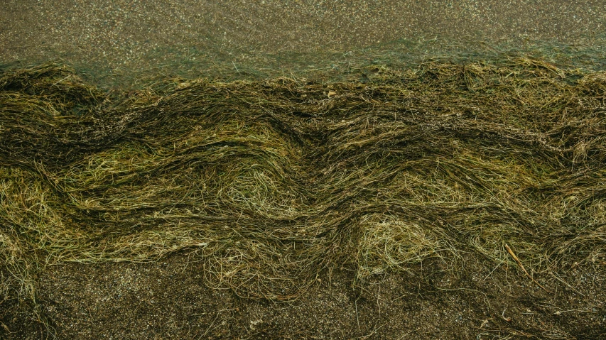 a pile of hay sitting in front of a wooden floor