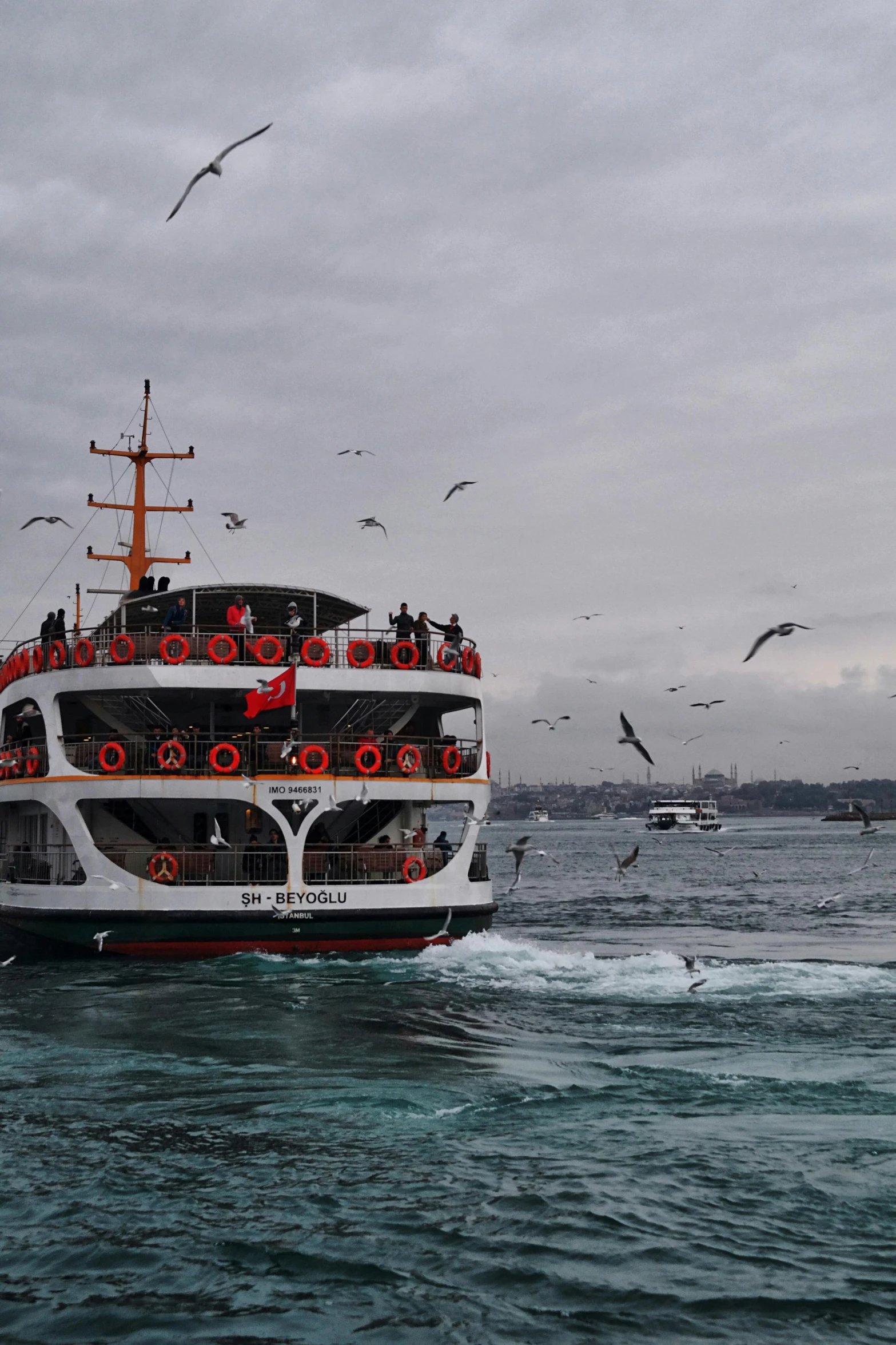 a boat in the water with a number of seagulls flying around