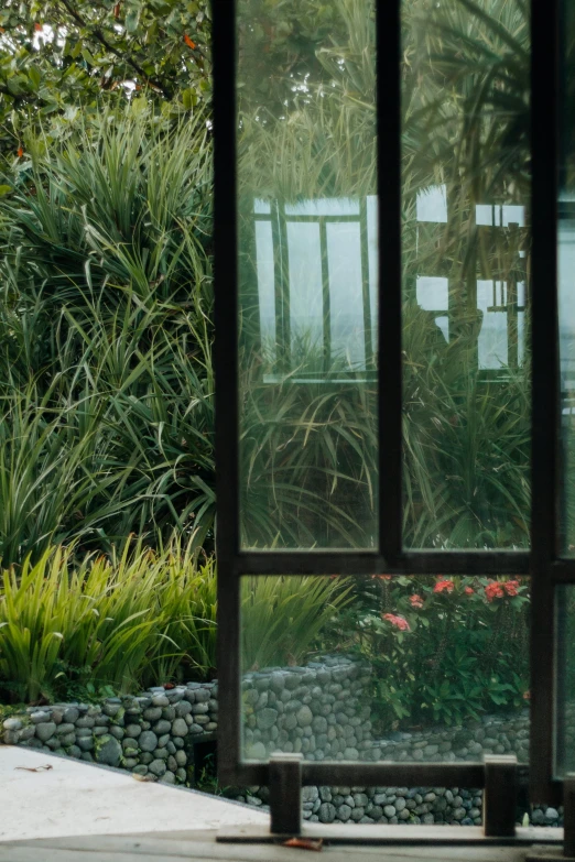 a small bear is sitting outside by some plants