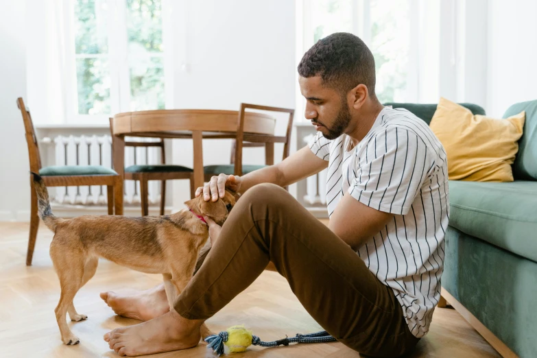 a man and his dog playing with a tennis ball