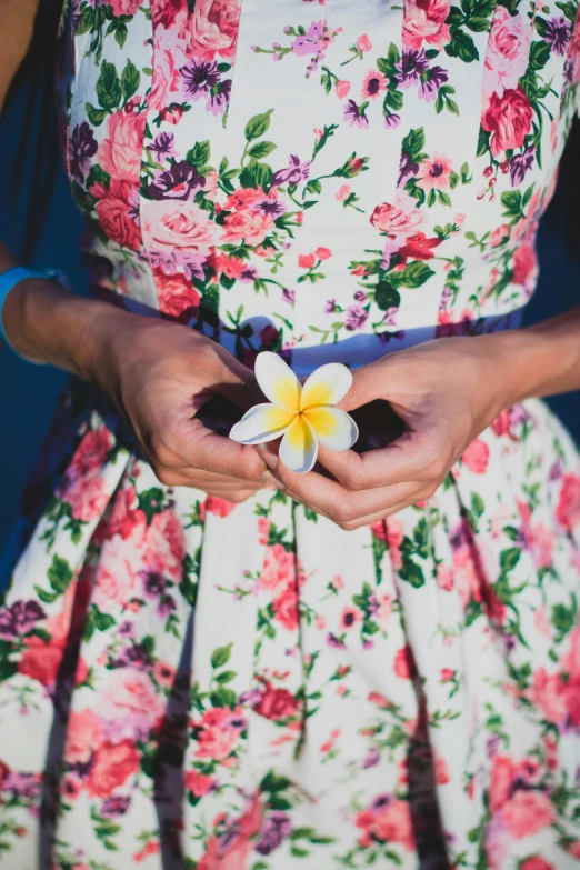 a close up of a person holding two flower petals