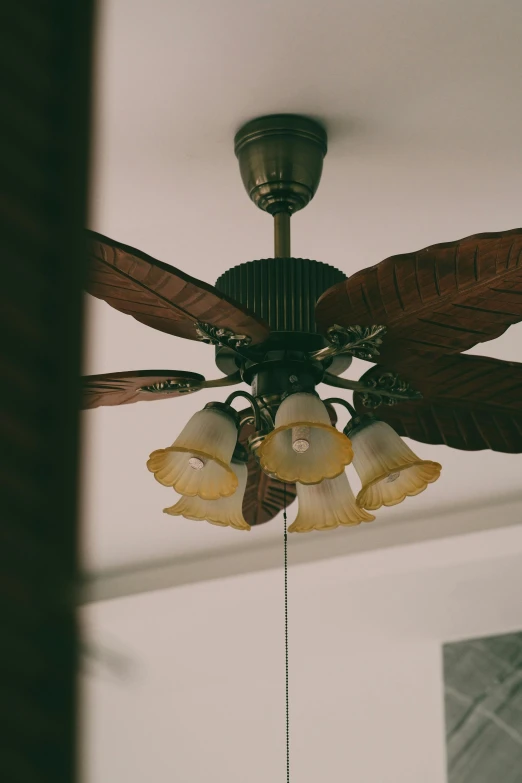 a ceiling fan with four flower bulbs and three lamps