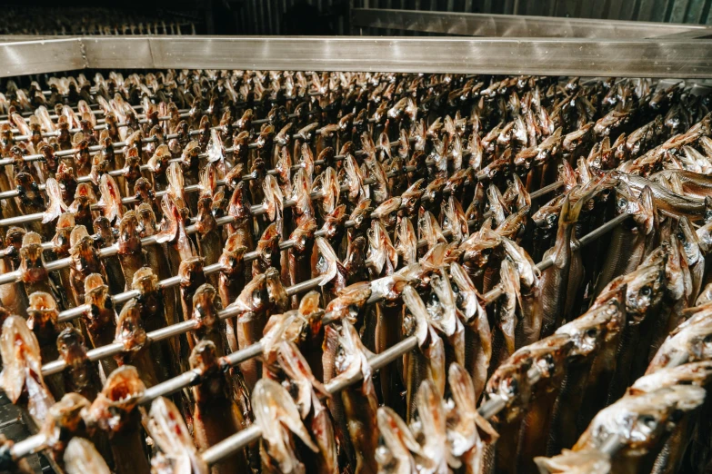 many dead birds hanging from a metal rack