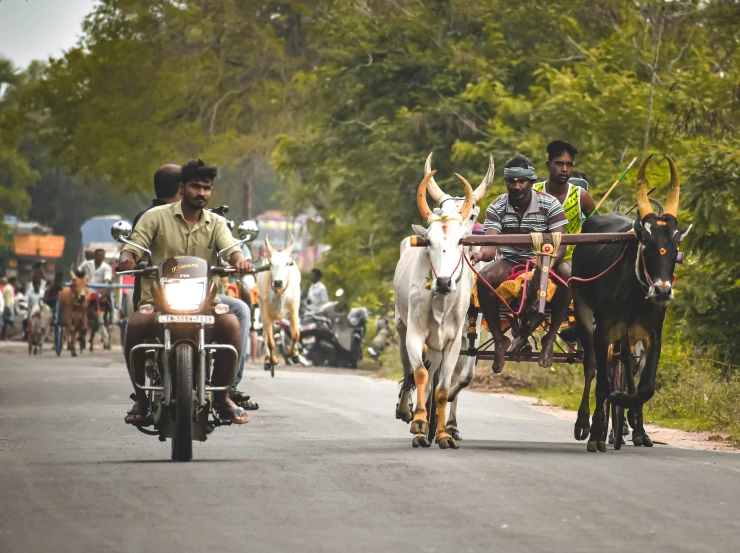 two men riding horses and carriage down a busy road