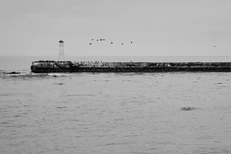 many birds flying over the water near a light house