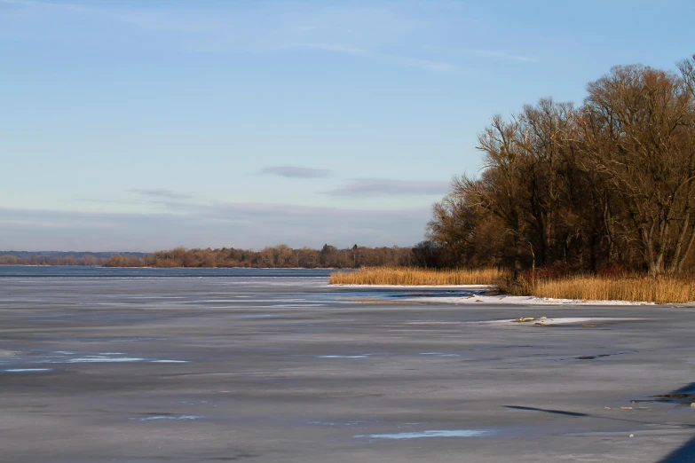 a lake with lots of ice next to tall trees