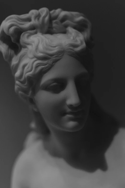 a close up of a statue of a woman with big curls