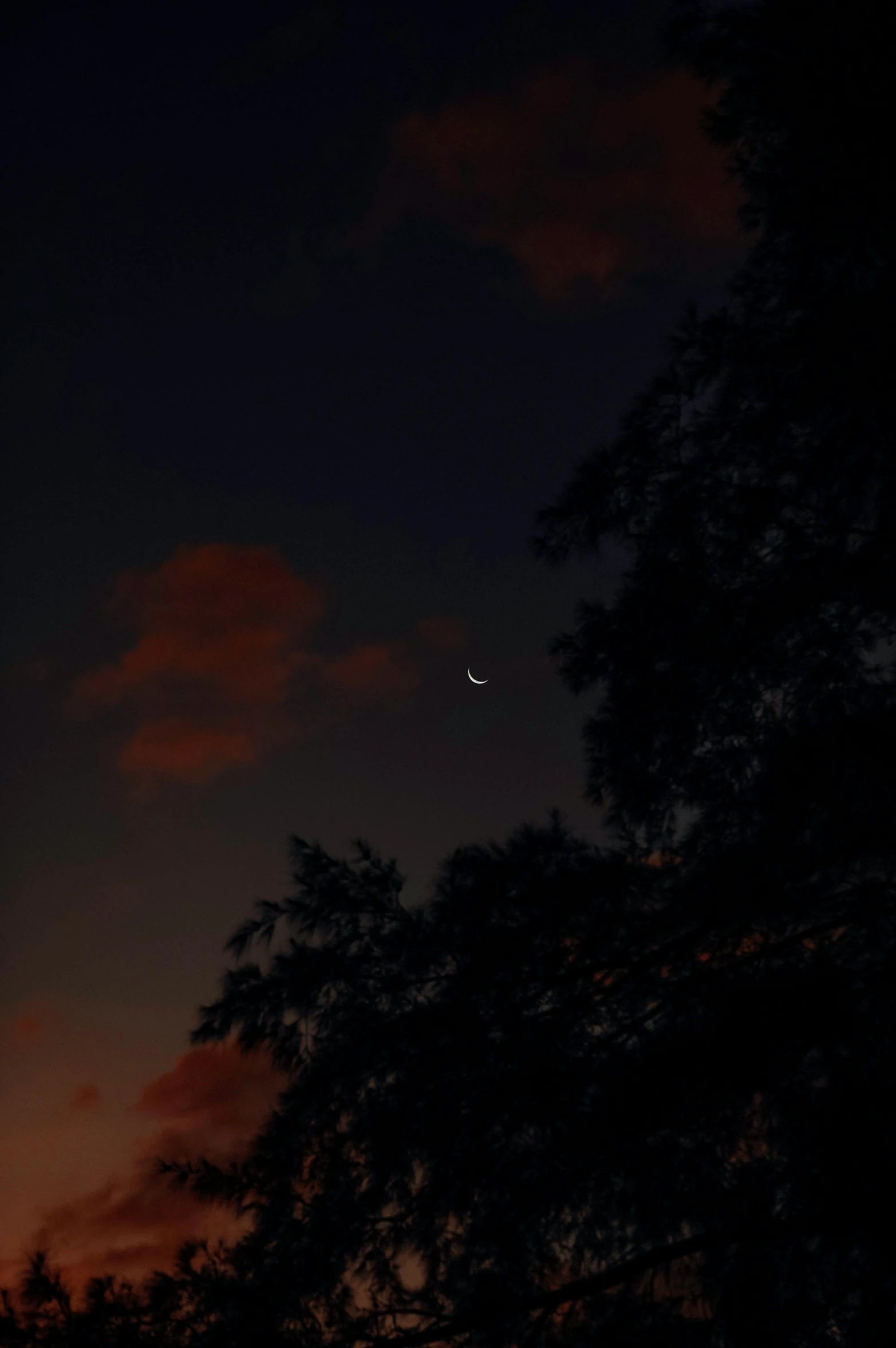 a plane flying through the air at night