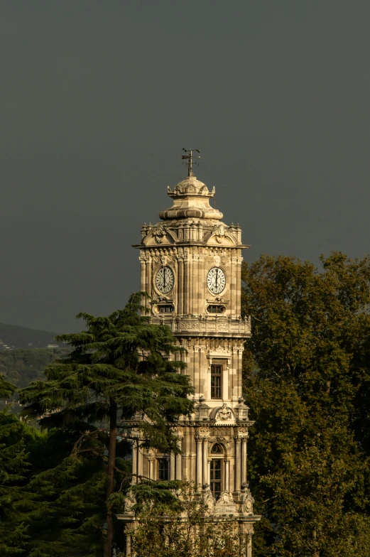 a tall tower with clock faces sitting next to a forest