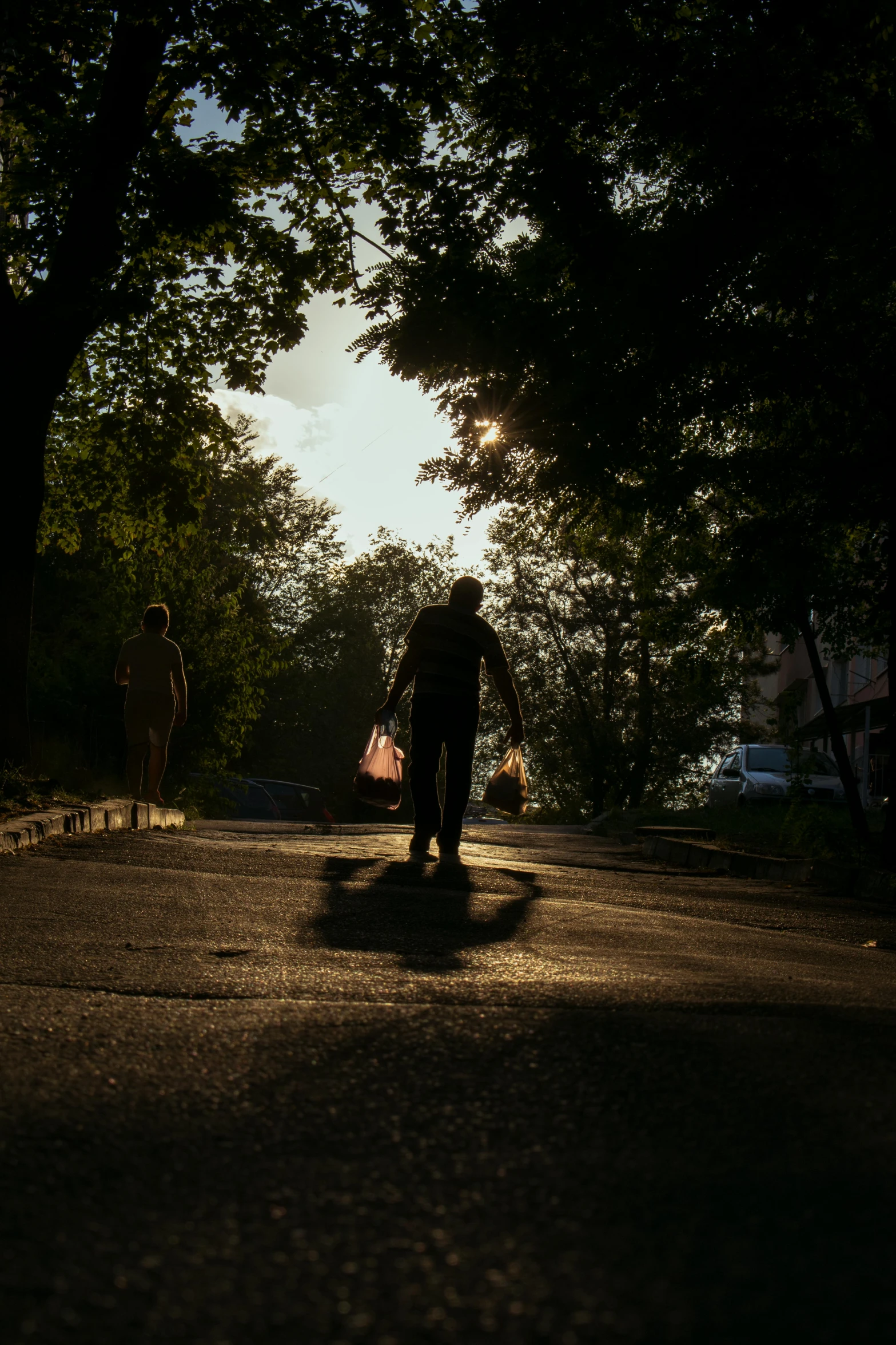 a person walking their dog in the park