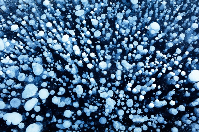 bubbles are in blue liquid on a black background