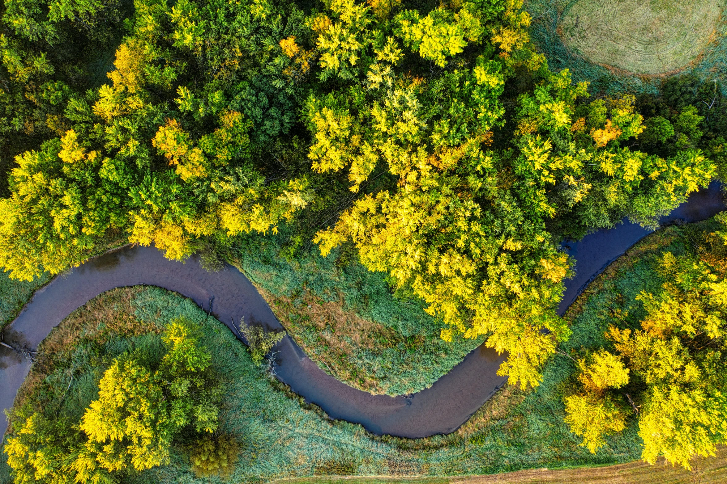 an aerial view of a curved road winding through a forest