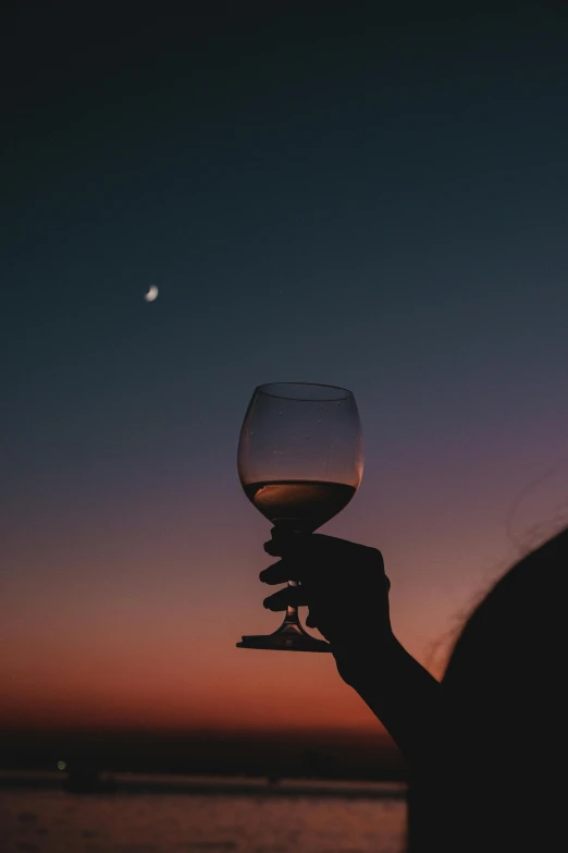 a person holding up a wine glass at the beach