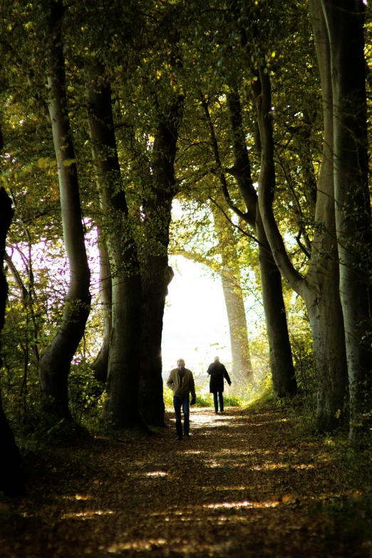 two people walking down a path between trees