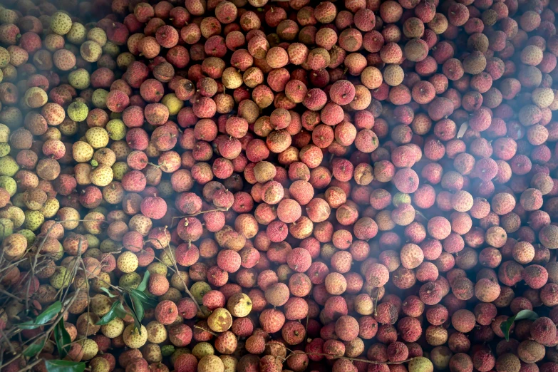 many large fruits are stacked up on the shelves