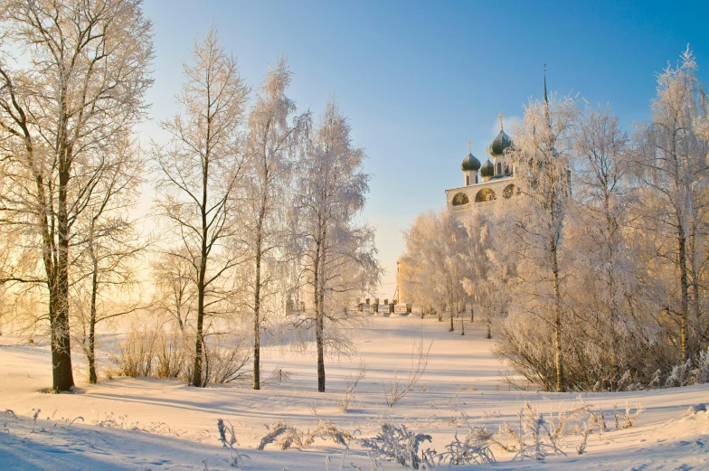 snowy landscape with many trees and a building on it