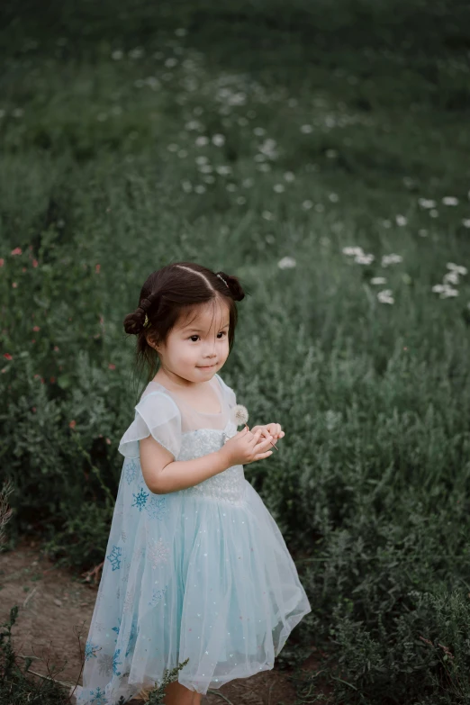 a little girl in a blue dress is in the grass