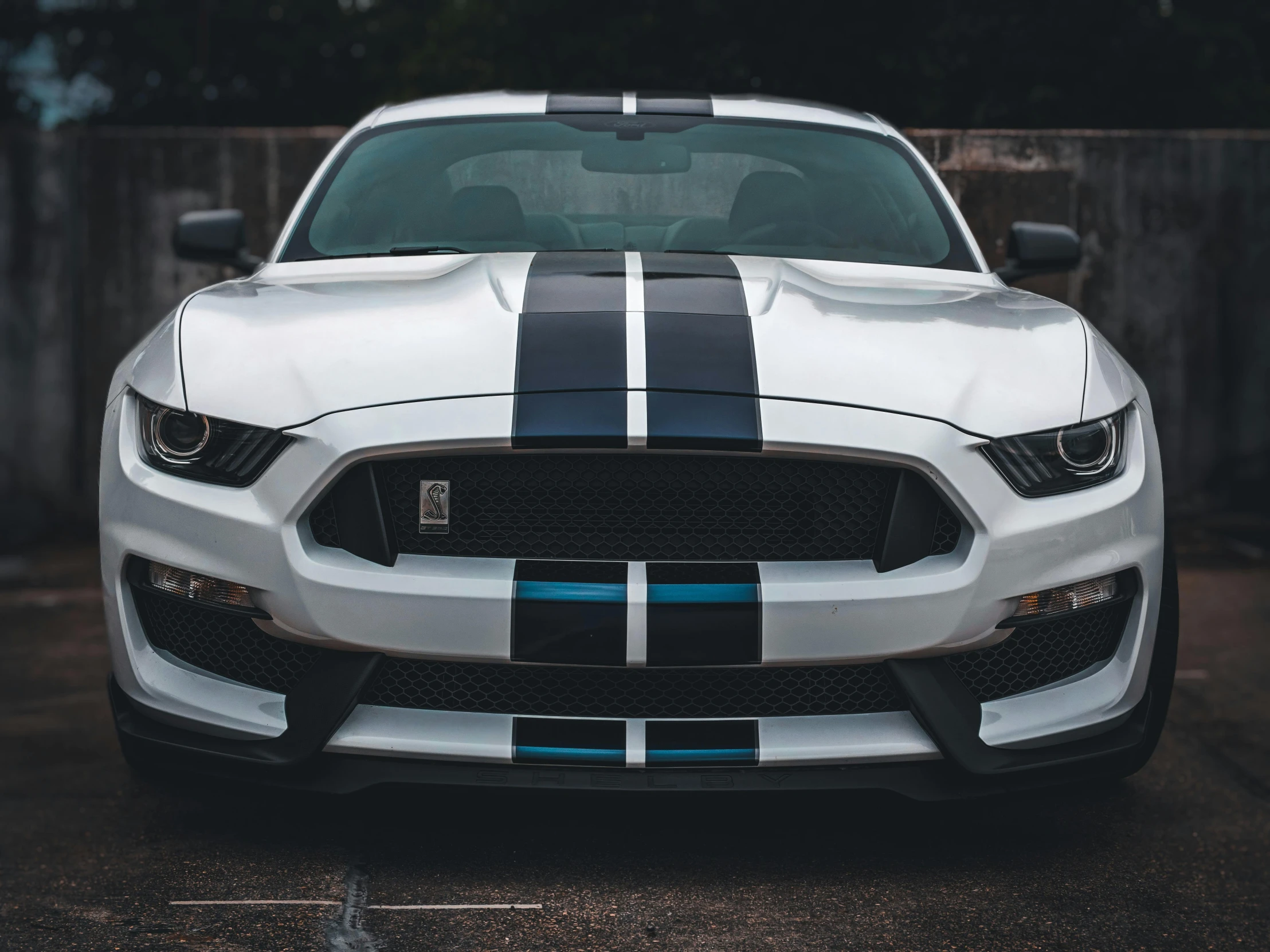 a mustang with a black and white striped hood and a black nose