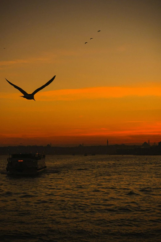 a bird flying in the sky at sunset