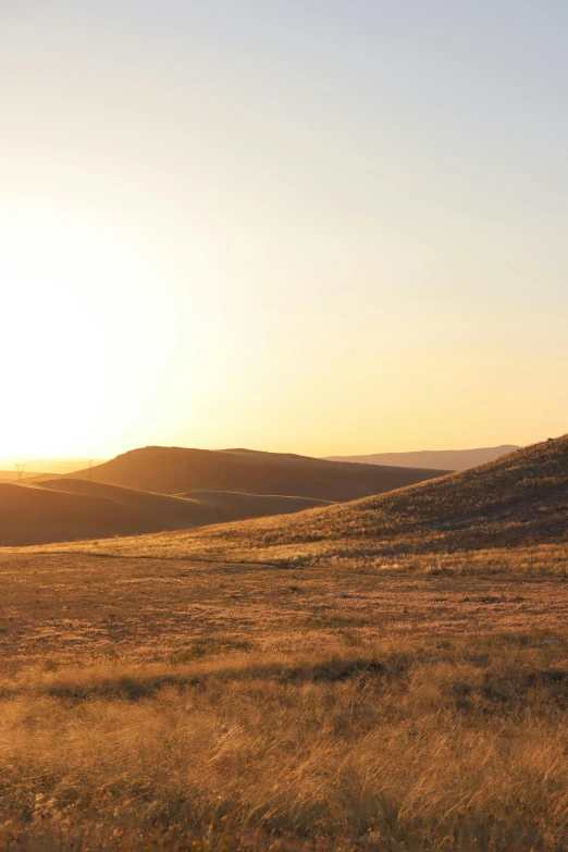 the giraffe is walking through the dry grass on the hill