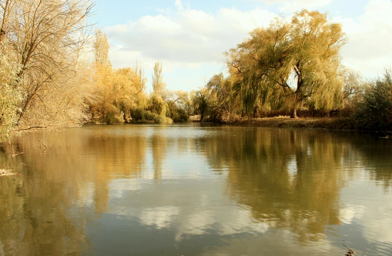 water, trees and sky reflecting off of the surface of a calm river