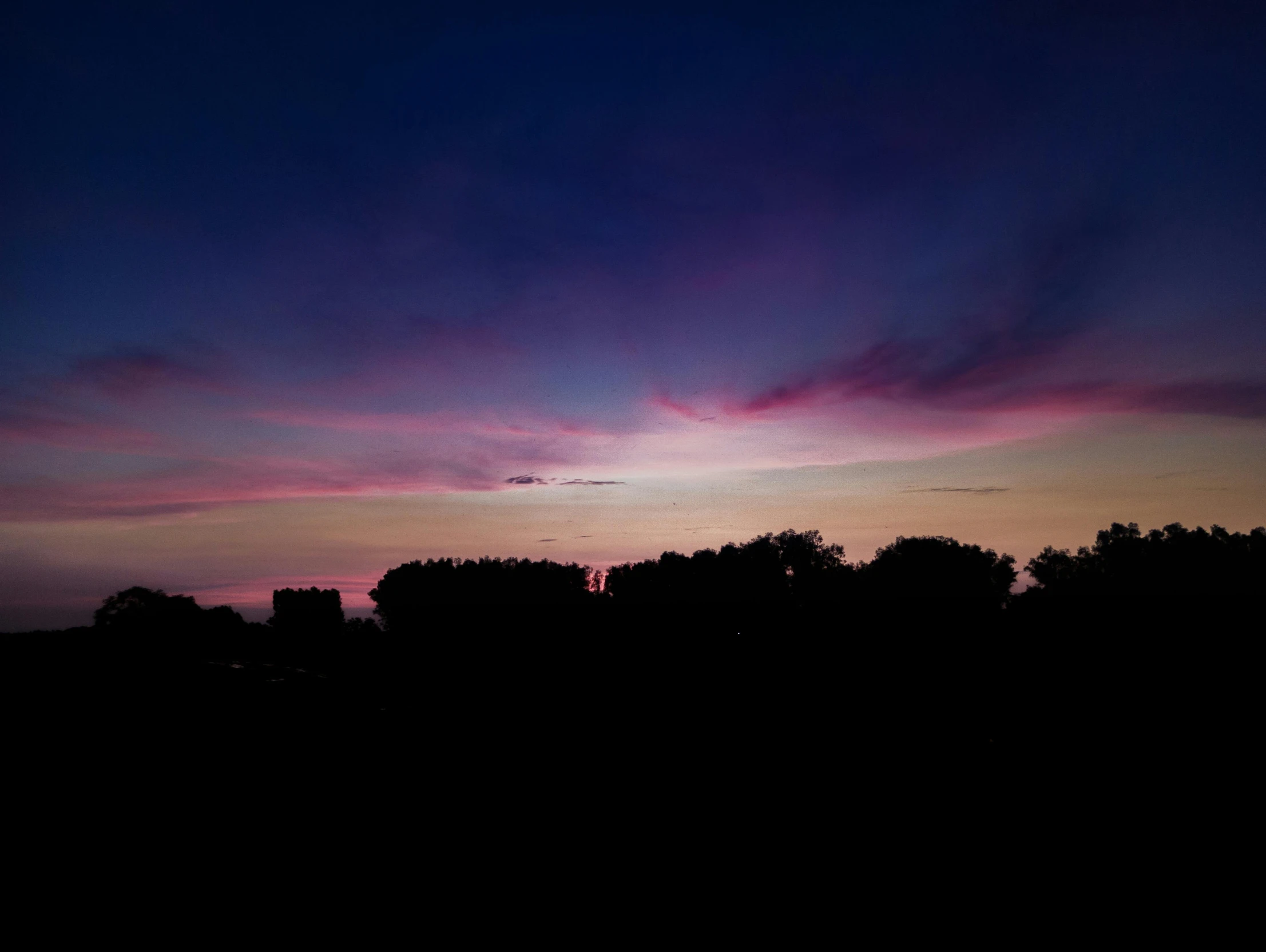 a dark landscape with many trees in the distance