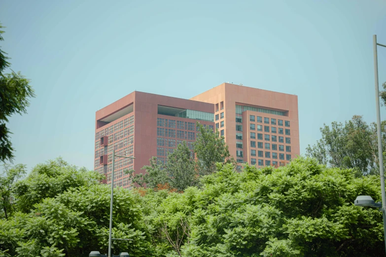 two tall buildings in the city surrounded by trees