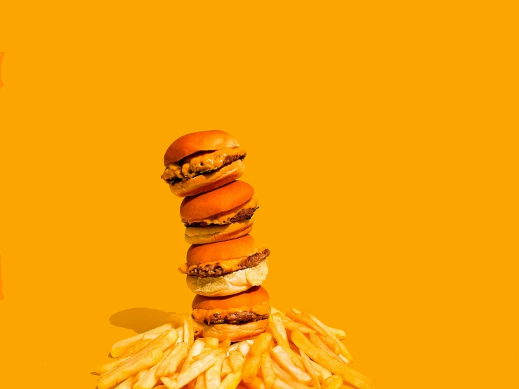 a large hamburger and several french fries stacked on top of each other