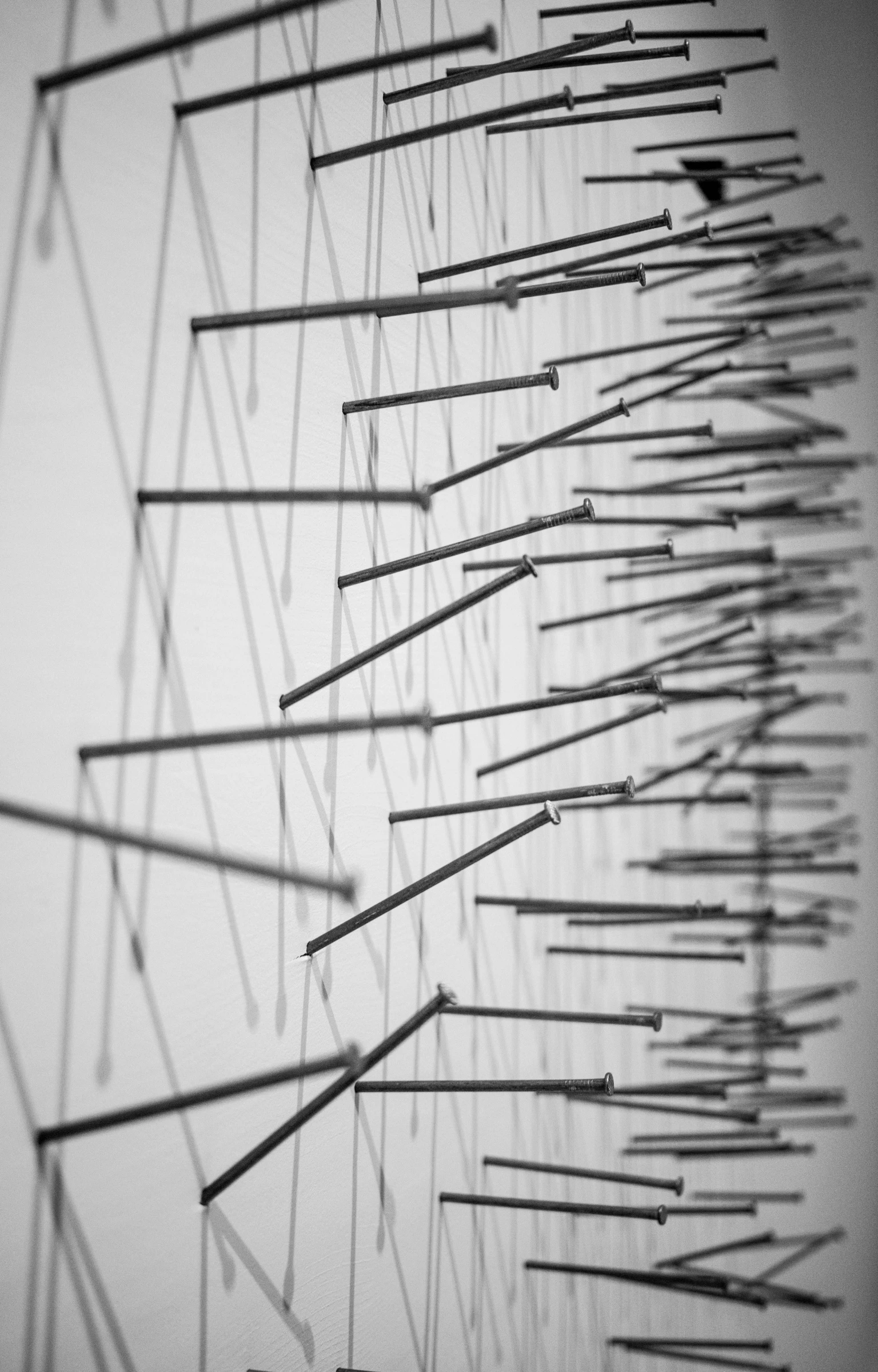 an artistic artwork made of various different lines and sticks