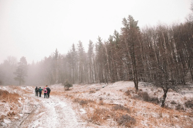 four people walk in a snowy field on a path through the woods