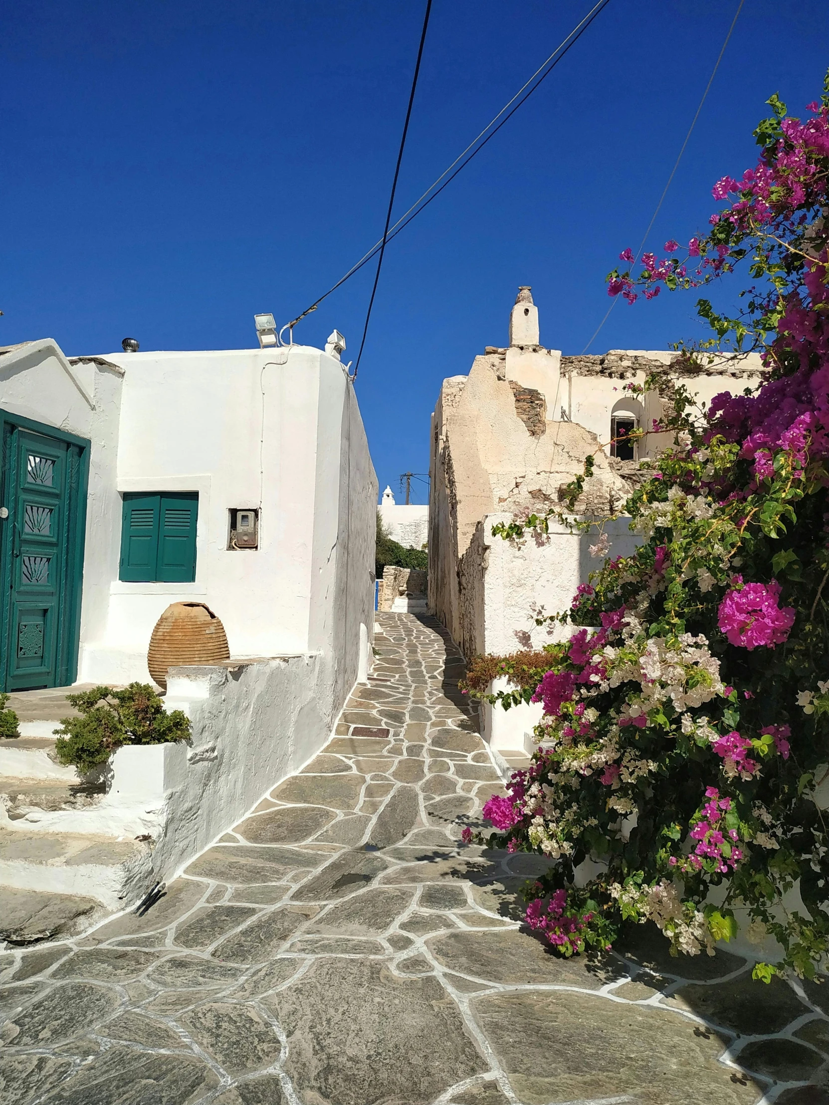 a street lined with houses and flowers next to blue skies