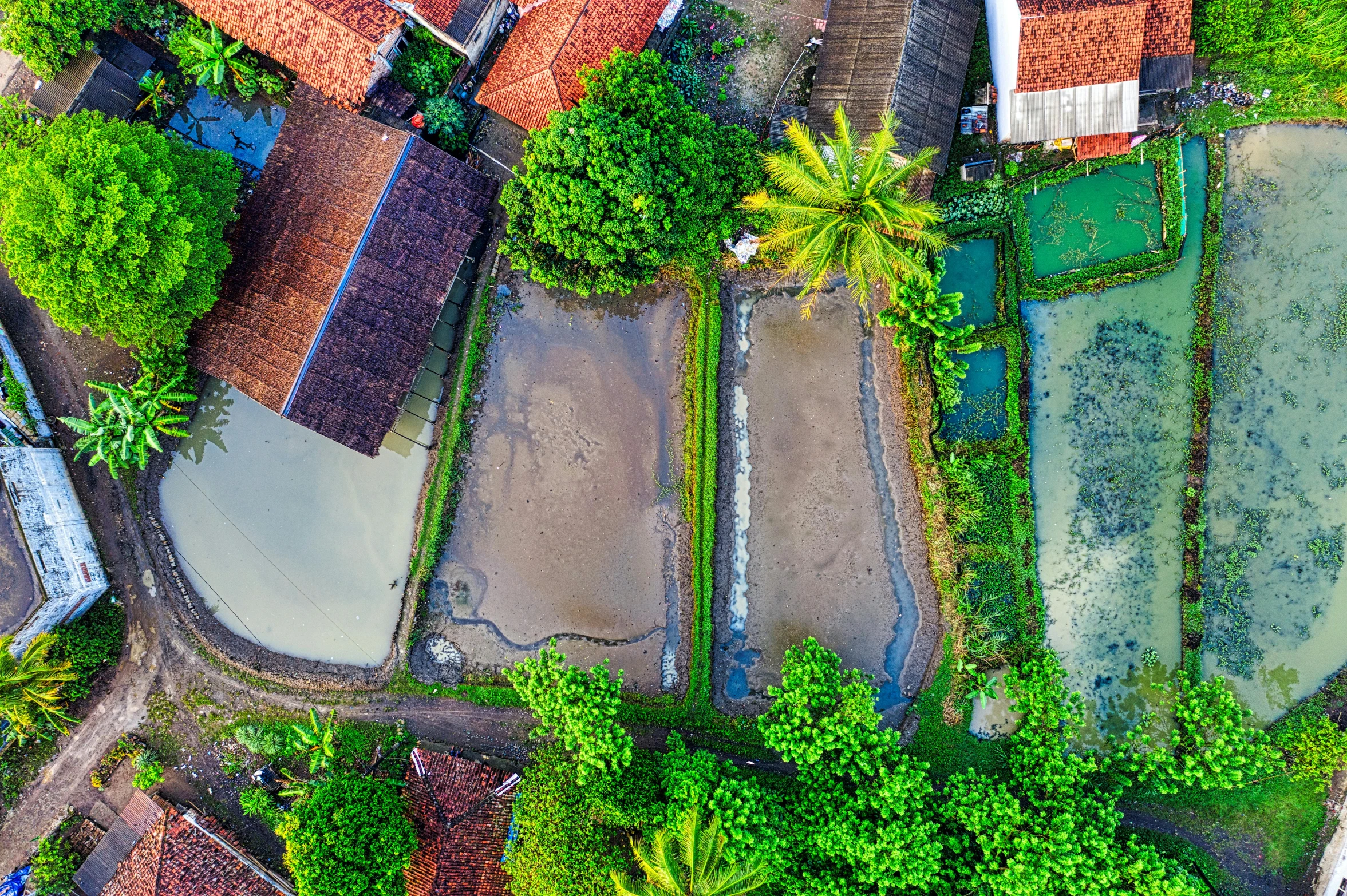 an aerial view of an urban area with trees, houses, and grass