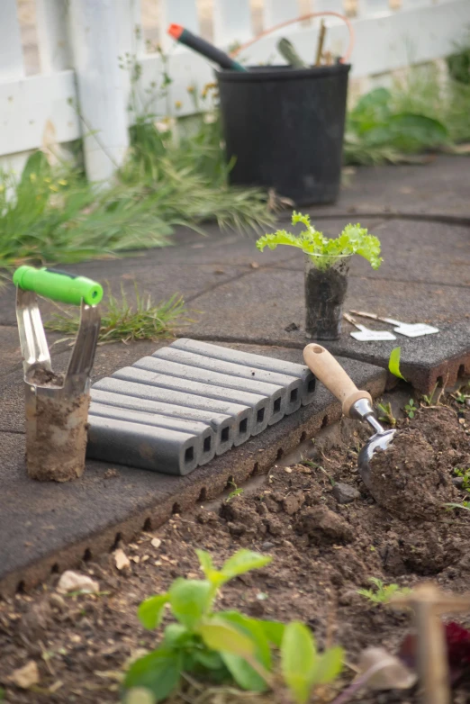 a garden tool laying on top of a patch of dirt