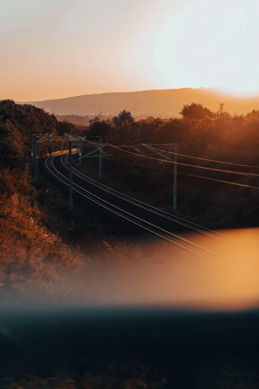 the view from a train looking out over a forest