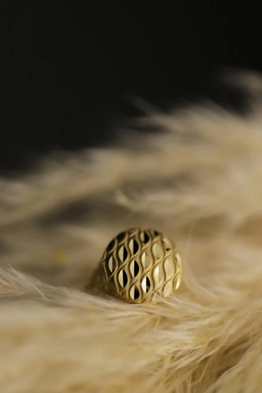 a closeup of a ring with the background of feathers