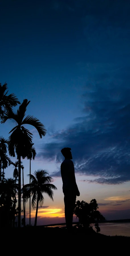 a silhouette of a man standing by palm trees at dusk