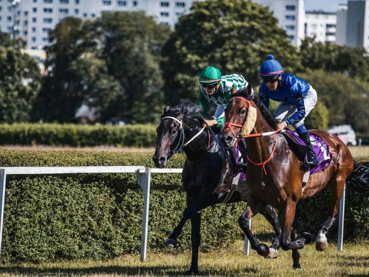 two horses racing each other while being guided by their riders