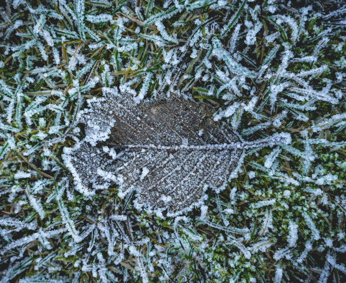 the snow crystals are starting to freeze off