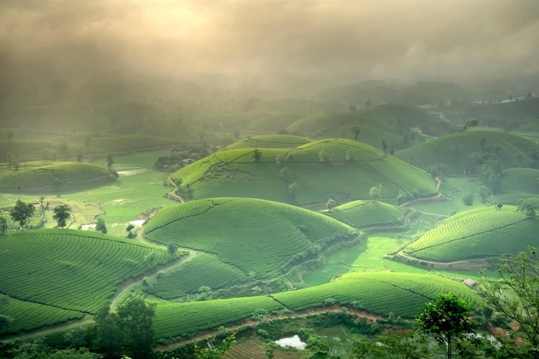 a hill side with green fields in the fog