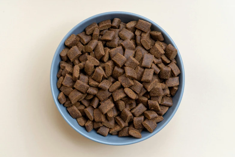 there is a bowl full of brown dog food