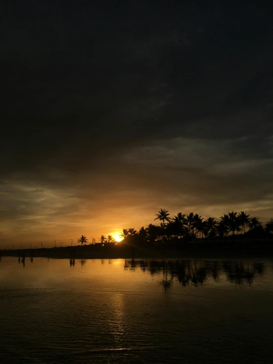 a body of water with palm trees on both sides