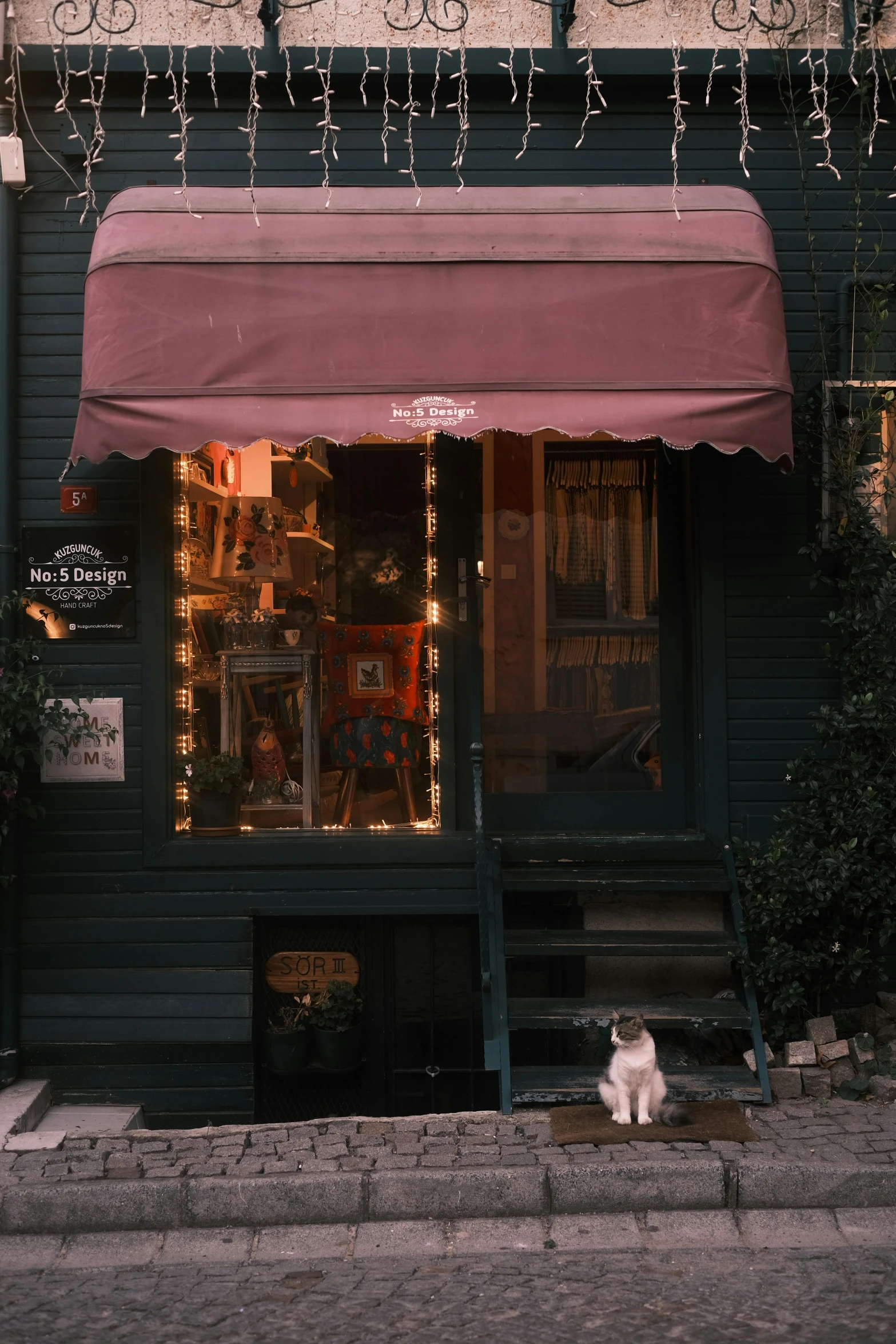 the cat is standing on the doorstep outside the store