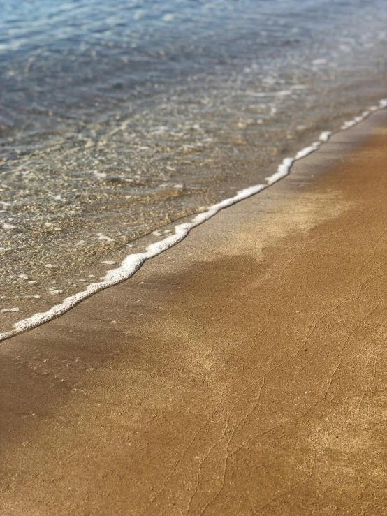 there is a small dog on the beach walking into the water