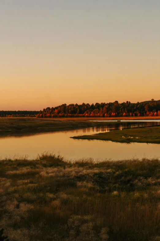 a large lake next to a forest at sunset