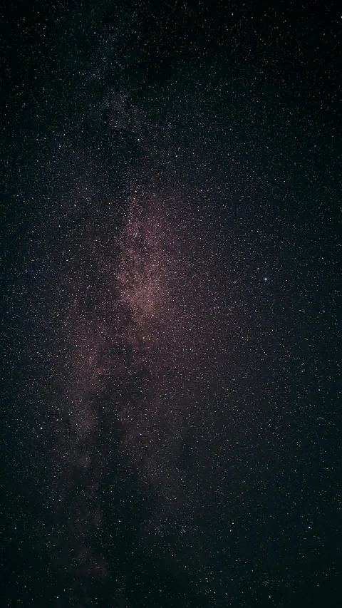 a clear sky full of bright white and purple stars