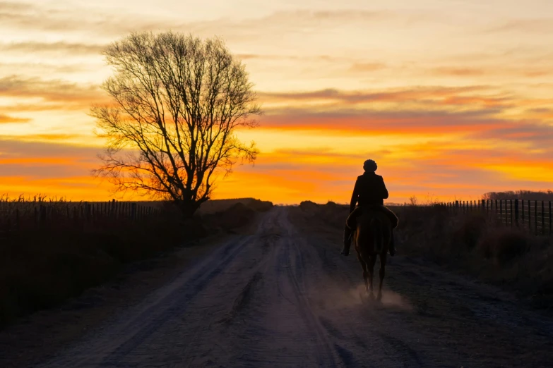 a person riding a horse down a dirt road