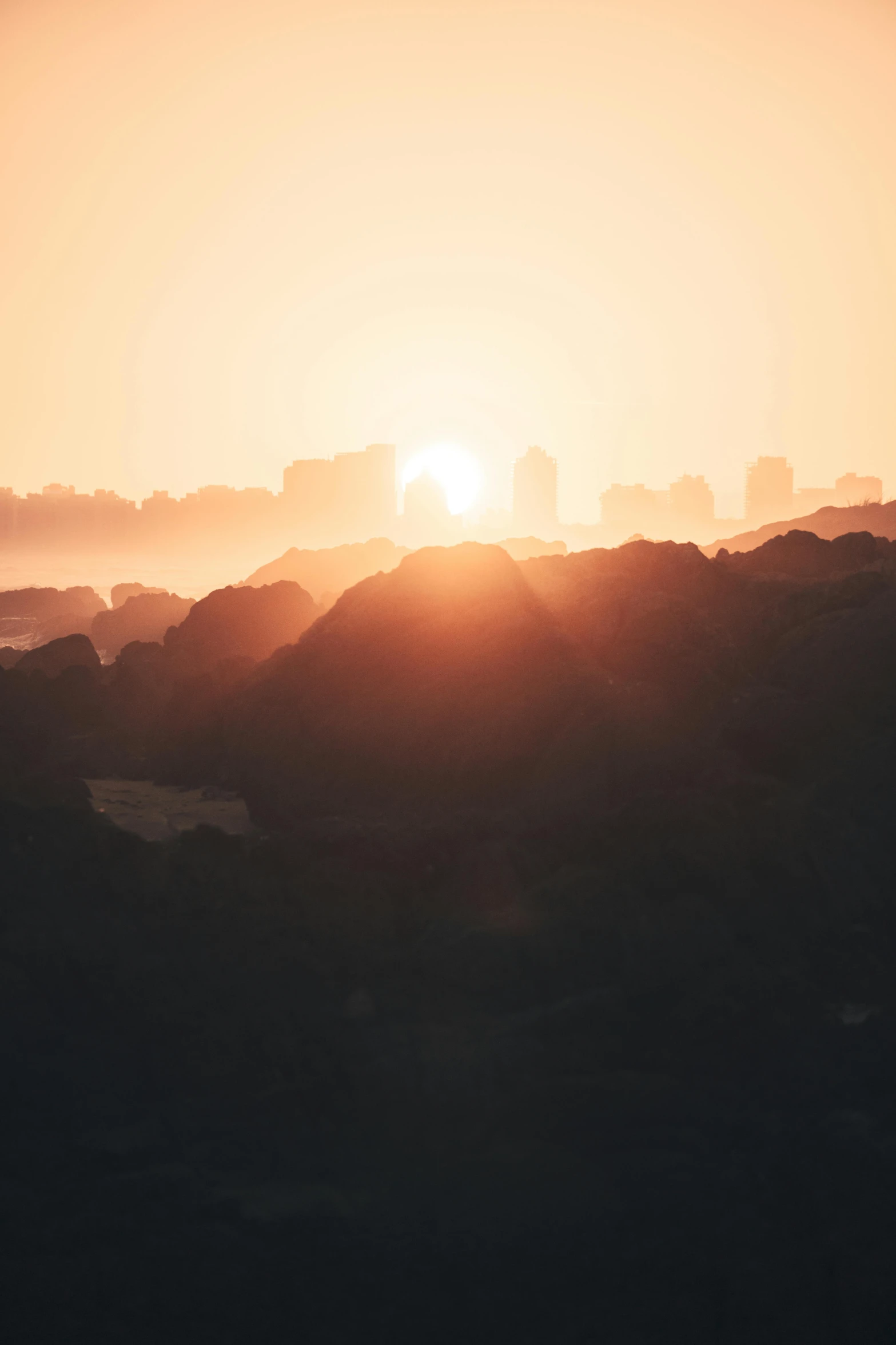 a bird is flying near the setting sun